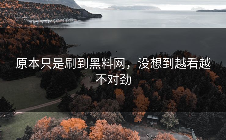 原本只是刷到黑料网,没想到越看越不对劲 第1张 原本只是刷到黑料网,没想到越看越不对劲 第1张