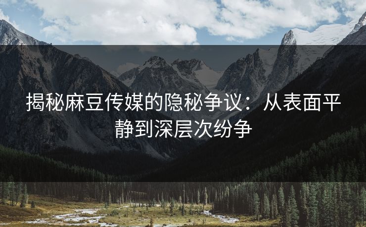 揭秘麻豆传媒的隐秘争议：从表面平静到深层次纷争  第1张