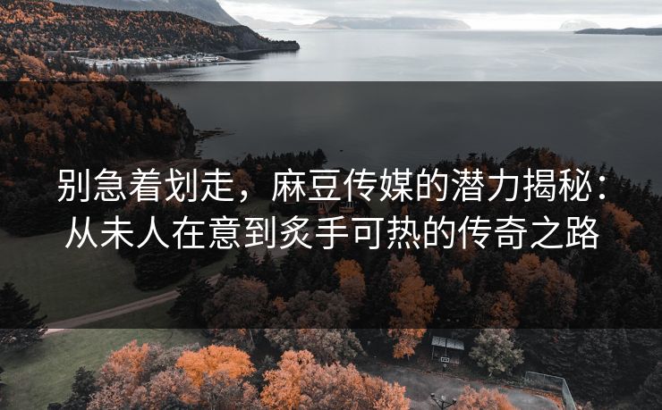 别急着划走，麻豆传媒的潜力揭秘：从未人在意到炙手可热的传奇之路  第1张