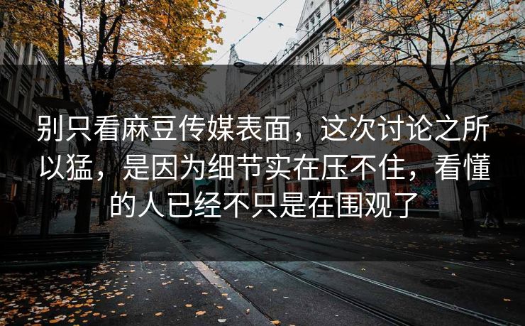 别只看麻豆传媒表面，这次讨论之所以猛，是因为细节实在压不住，看懂的人已经不只是在围观了  第1张