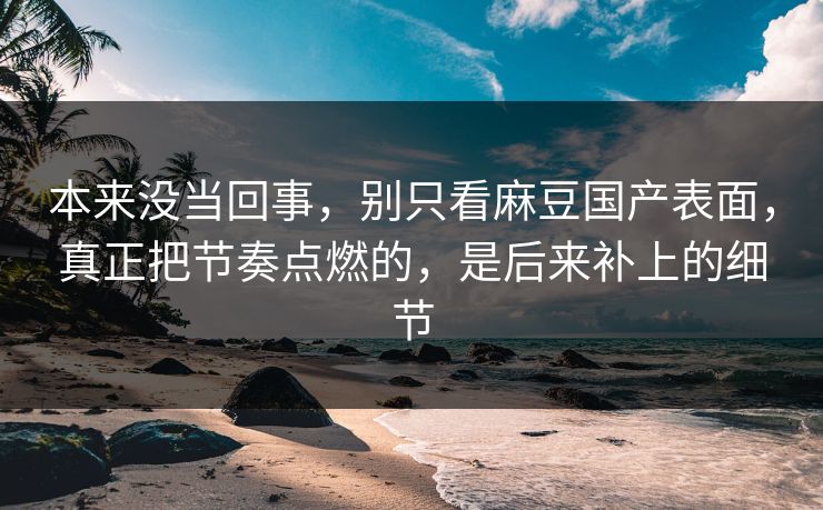 本来没当回事，别只看麻豆国产表面，真正把节奏点燃的，是后来补上的细节  第1张