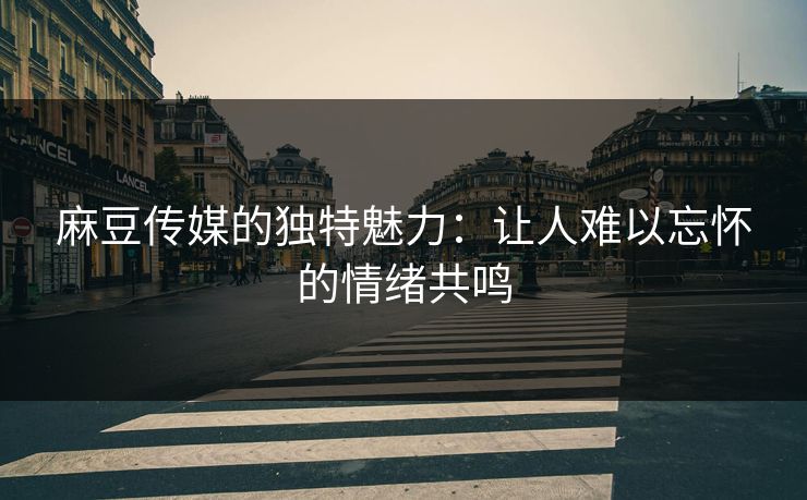麻豆传媒的独特魅力：让人难以忘怀的情绪共鸣  第1张