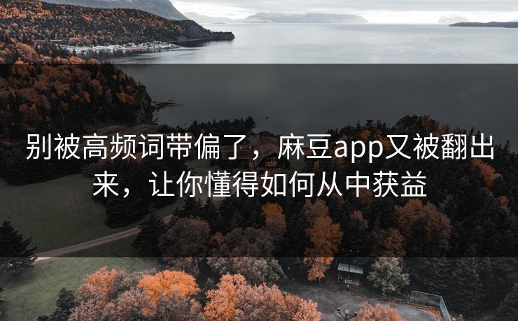 别被高频词带偏了，麻豆app又被翻出来，让你懂得如何从中获益  第1张