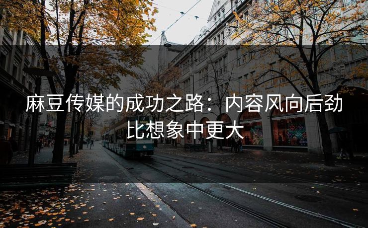 麻豆传媒的成功之路：内容风向后劲比想象中更大  第1张