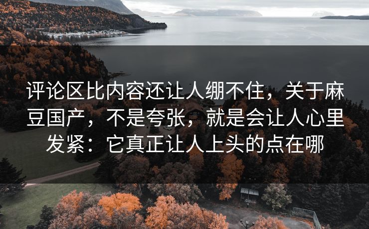 评论区比内容还让人绷不住，关于麻豆国产，不是夸张，就是会让人心里发紧：它真正让人上头的点在哪  第1张