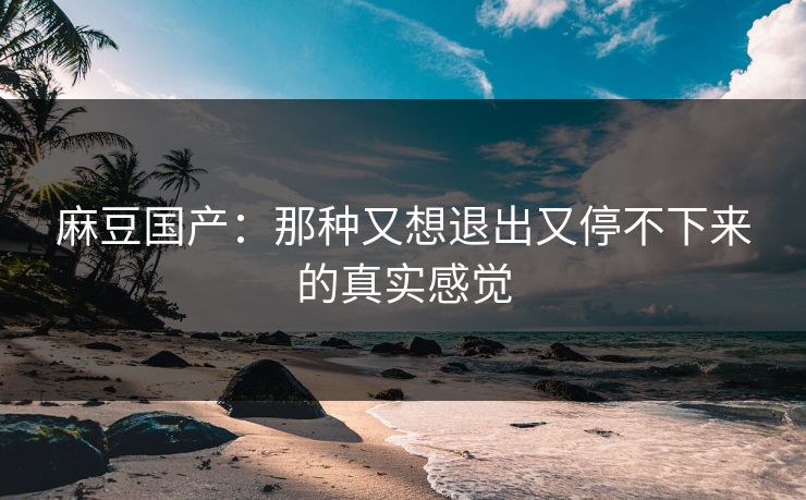 麻豆国产：那种又想退出又停不下来的真实感觉  第1张