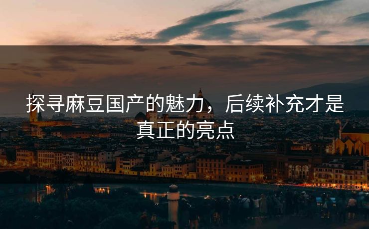 探寻麻豆国产的魅力，后续补充才是真正的亮点  第1张