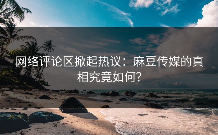网络评论区掀起热议：麻豆传媒的真相究竟如何？  第1张