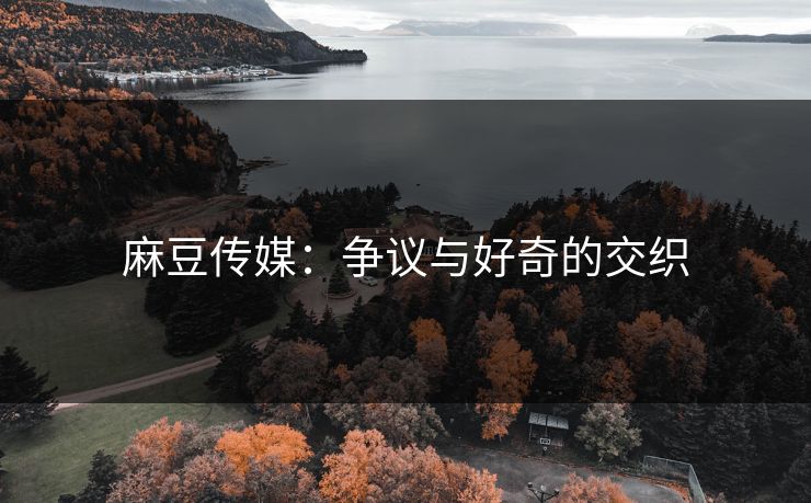 麻豆传媒：争议与好奇的交织